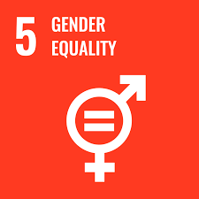 Sustainable Development Goals 5 icon UN SDG logo for Silambam