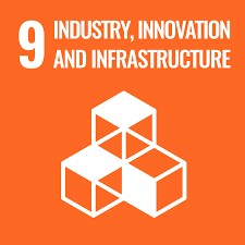 Sustainable Development Goals 9 icon UN SDG logo for Silambam