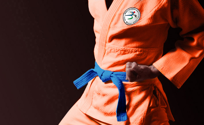 Image Blue Belt 1 for World Silambam Association